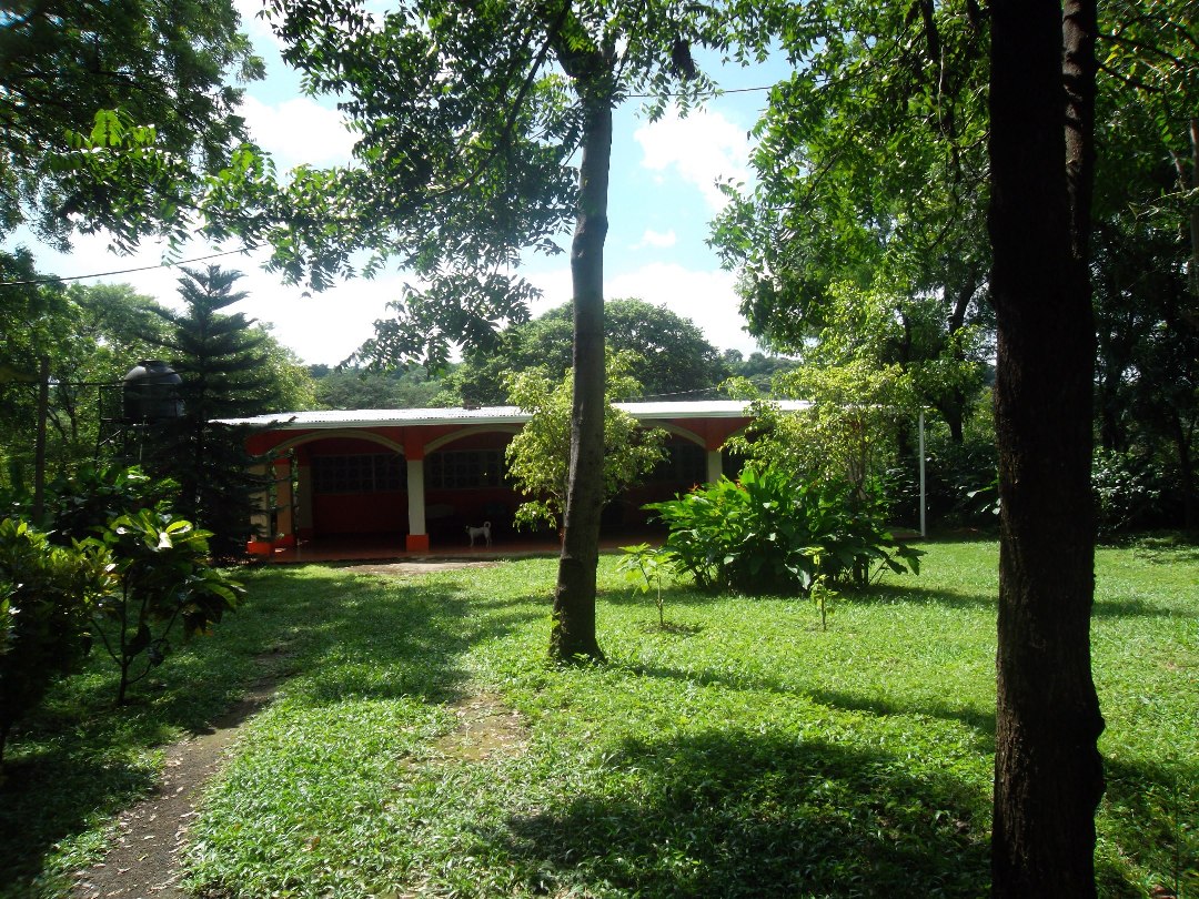 finca  agrícola y ganadera 