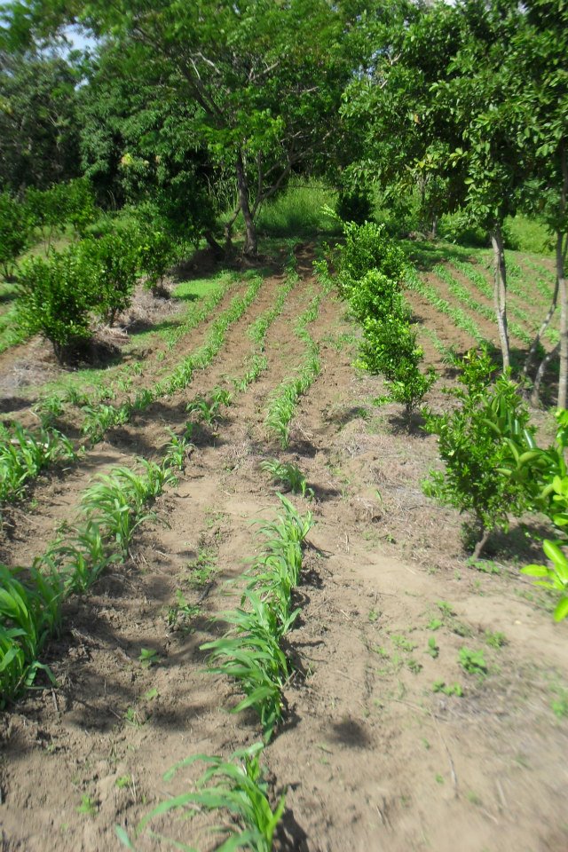 Carretera Masaya - Granada