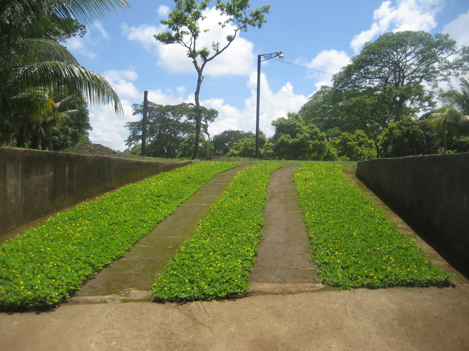 FINCA - DOLORES CARAZO