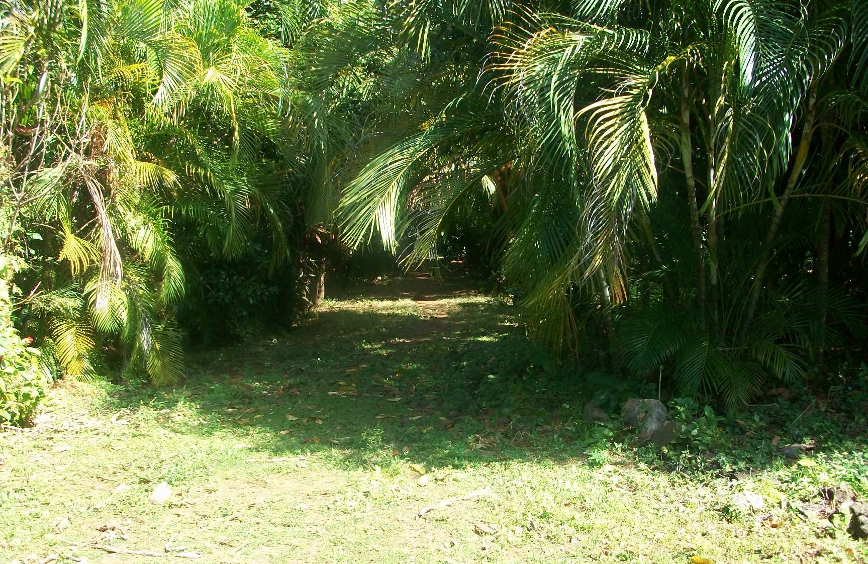 Terreno en Carretera Vieja a León