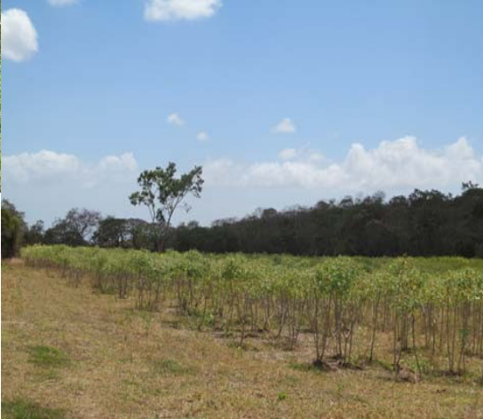 Finca Agrícola