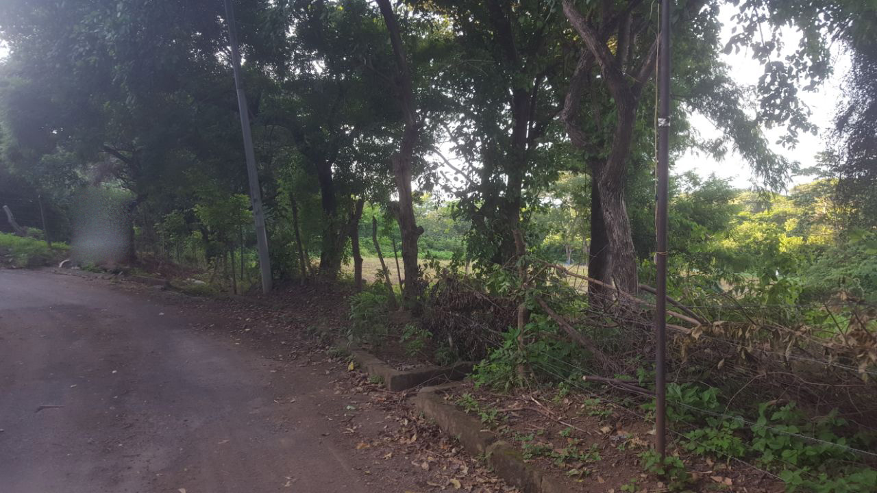 Plusvalía, Inversion Y Desarrollo