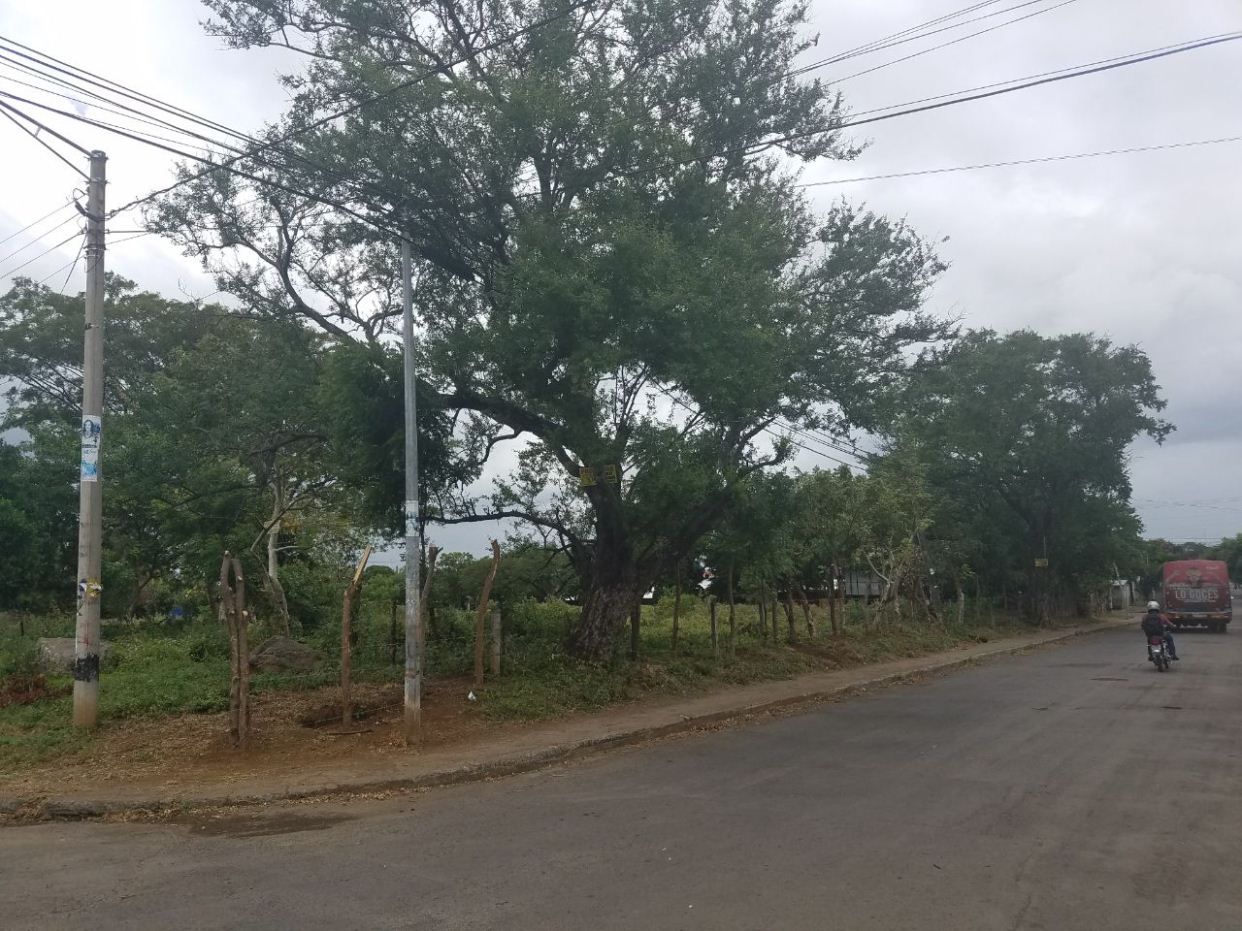 Terreno en Venta